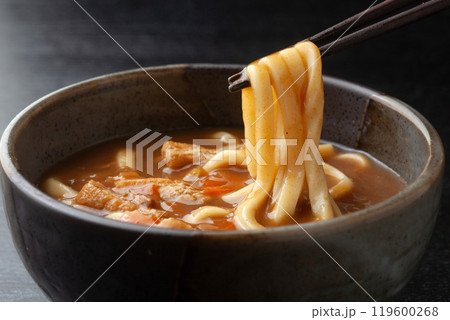 カレーうどん カレーうどん 119600268