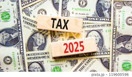 Planning tax 2025 new year symbol. Concept words Tax 2025 on beautiful wooden blocks. Dollar bills. Beautiful background from dollar bills. Business tax 2025 new year concept. Copy space. Planning tax 2025 new year symbol. Concept words Tax 2025 on beautiful wooden blocks. Dollar bills. Beautiful background from dollar bills. Business tax 2025 new year concept. Copy space. 119600596