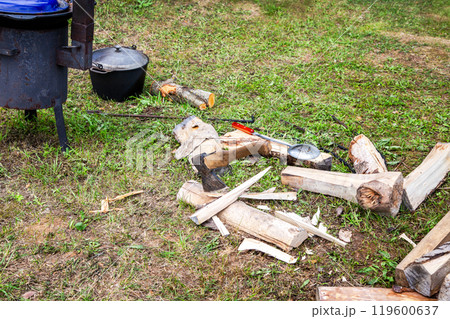 Axe and firewood for outdoor cooking at the tourist camp Axe and firewood for outdoor cooking at the tourist camp 119600637