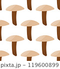 mushrooms autumn forest vector color pattern plant 119600899