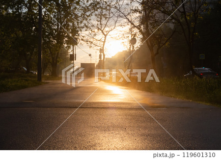 Morning sunlight glistens on wet pavement as vehicles pass through a serene city street 119601310