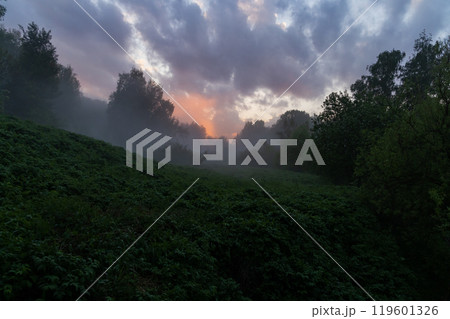 A tranquil dawn emerges over a misty meadow in a serene forest landscape A tranquil dawn emerges over a misty meadow in a serene forest landscape 119601326