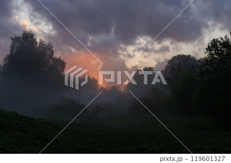 Misty twilight envelops the serene landscape as the sun sets behind trees in a tranquil forest setting Misty twilight envelops the serene landscape as the sun sets behind trees in a tranquil forest setting 119601327