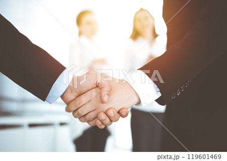 Businessman and woman shaking hands with colleagues at the background. Handshake at meeting in sunny office 119601469