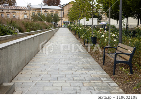 Public park way. The public park looks shady, clean, beautiful, luxurious 119602108