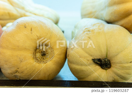 produce market seasonal season fresh harvest background farmers rustic white october produce market seasonal season fresh harvest background farmers rustic white october 119603287