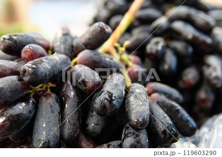summer black natural closeup sweet agriculture market fresh wine fruit food purple healthy summer black natural closeup sweet agriculture market fresh wine fruit food purple healthy 119603290