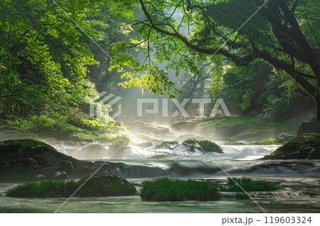 菊池渓谷・広河原の光芒 119603324
