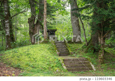 戸隠神社奥社参道の小祠【長野市】 戸隠神社奥社参道の小祠【長野市】 119603346