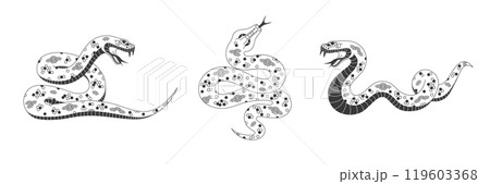 Isolated snake reptiles set 119603368