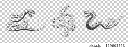 Isolated snake reptiles set Isolated snake reptiles set 119603368