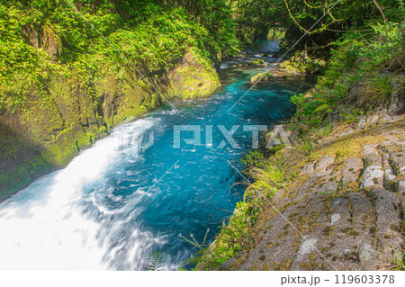 コバルトブルーの美しい菊池渓谷 119603378