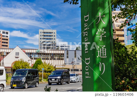東京 国立市 国立駅 南口から延びる 大学通り 東京 国立市 国立駅 南口から延びる 大学通り 119603406