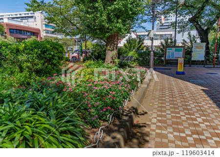 東京　国立市　国立駅 南口から延びる 大学通り 119603414