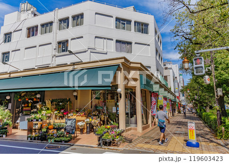 東京　国立市　国立駅 南口から延びる 大学通り 119603423