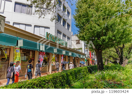 東京 国立市 国立駅 南口から延びる 大学通り 東京 国立市 国立駅 南口から延びる 大学通り 119603424