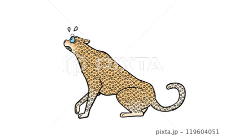 驚くヒョウ 驚くヒョウ 119604051