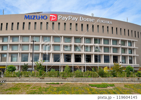 みずほペイペイドーム福岡 119604145