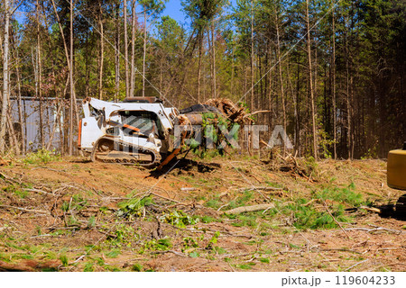 Uprooting trees when preparing land for construction with an excavator used by contractor 119604233