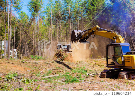 Trees are uprooted during preparation of construction site when an excavator is being used by contractor 119604234