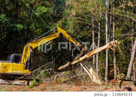 As part of preparation for building home trees are uprooted As part of preparation for building home trees are uprooted 119604235