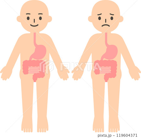 人物と胃腸のデフォルメイラスト 人物と胃腸のデフォルメイラスト 119604371