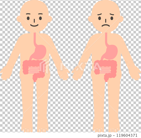 人物と胃腸のデフォルメイラスト 人物と胃腸のデフォルメイラスト 119604371