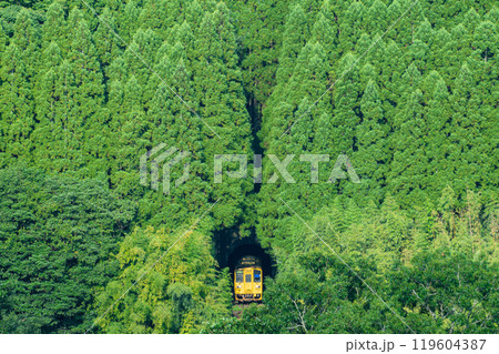 鳴子川橋梁を通過するキハ125形気動車 119604387
