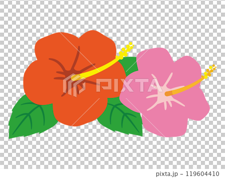 芙蓉圖 芙蓉圖 119604410