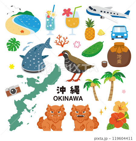 沖縄のイラストセット 119604411