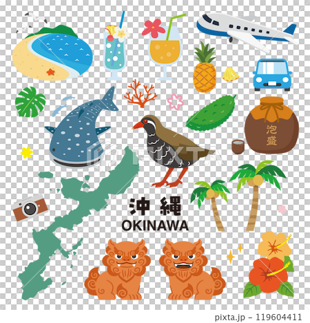 沖縄のイラストセット 119604411