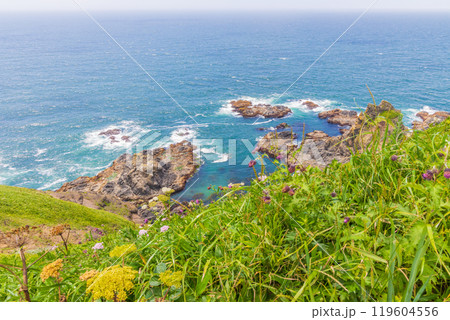夏の北海道　襟裳岬 119604556