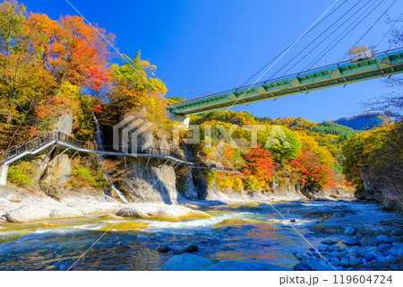 秋の紅葉に染まる諏訪峡大橋 119604724