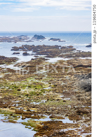 夏の北海道　襟裳岬 119604750
