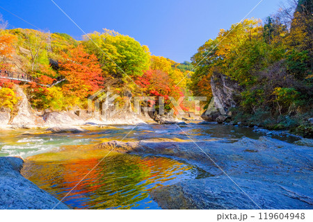 紅葉のリフレクション 119604948