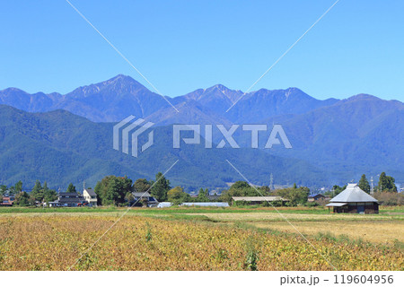 秋の安曇野 田園と北アルプスの写真素材 [119604956] - PIXTA