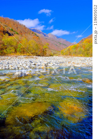 紅葉の谷川岳と湯桧曽川（縦） 119605012