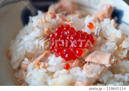 鮭ごはんと筋子 鮭ごはんと筋子 119605114