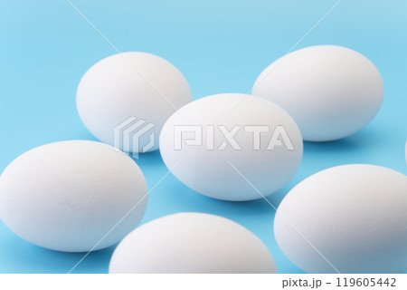 水色背景に卵のクローズアップ 119605442