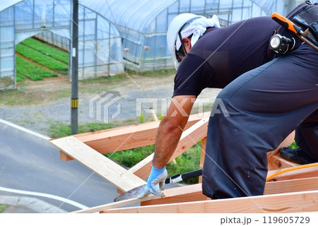 大工さんなどの職人によって作り上げられる木造軸組工法の木造2階建ての家 大工さんなどの職人によって作り上げられる木造軸組工法の木造2階建ての家 119605729