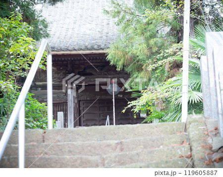 緑に覆われた山門 緑に覆われた山門 119605887