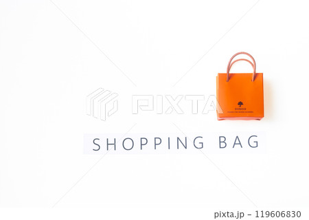 SHOPPING BAG・ミニチュアのショッパー 119606830