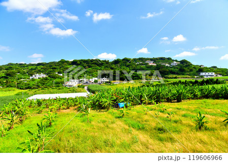南城市玉城糸数周辺の風景(沖縄県南城市)【2024.10】 南城市玉城糸数周辺の風景(沖縄県南城市)【2024.10】 119606966