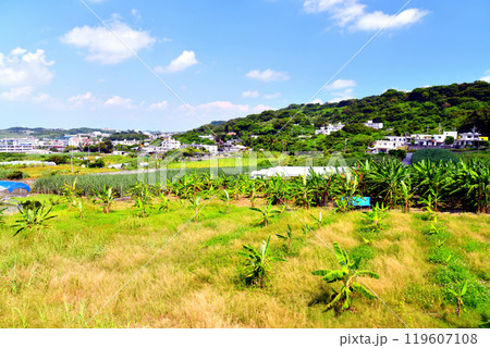南城市玉城糸数～玉城船越周辺の風景(沖縄県南城市)【2024.10】 119607108