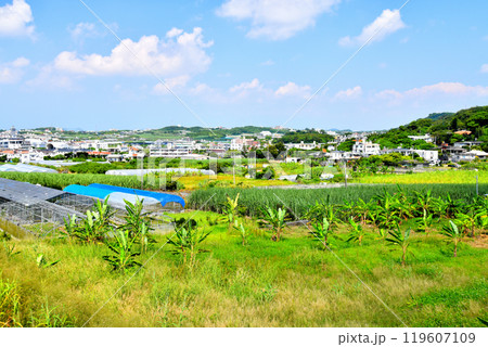 南城市玉城糸数～玉城船越周辺の風景(沖縄県南城市)【2024.10】 119607109