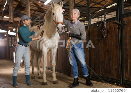 Women grooming horse in stable Women grooming horse in stable 119607694