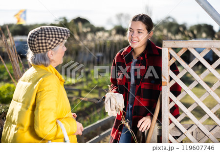 Two smiling casual women neighbors of different ages making arrangements during the vegetable garden season on sunny day of spring 119607746