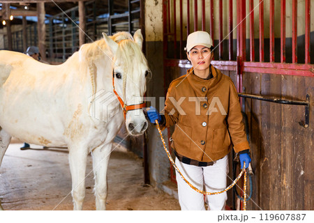 Female stable worker leads a white horse out of stall 119607887