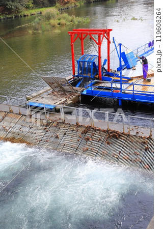 千歳水族館 さけを捕獲中のインディアン水車 千歳水族館 さけを捕獲中のインディアン水車 119608264