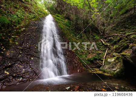 オウネン滝（兵庫県神崎郡神河町） 119608436